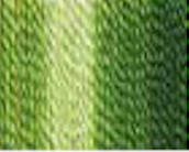 50 grammes Pelote Perle Finca No 5 Variegated couleurs ART00800.05