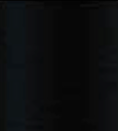 La Paleta 50 Grams Spool ART00750