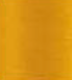 La Paleta 50 Grams Spool ART00750