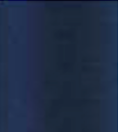 La Paleta 50 Grams Spool ART00750